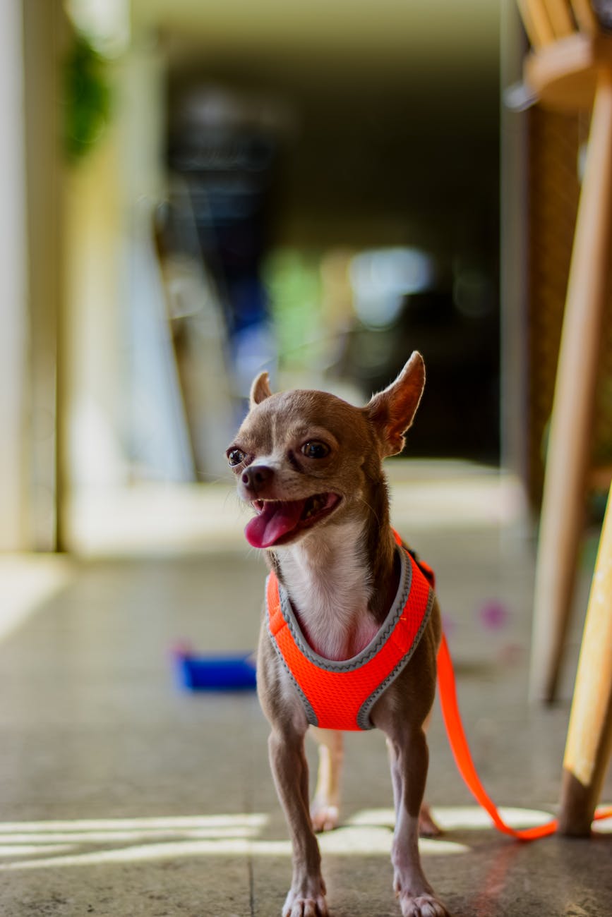 About 35°C in the shade