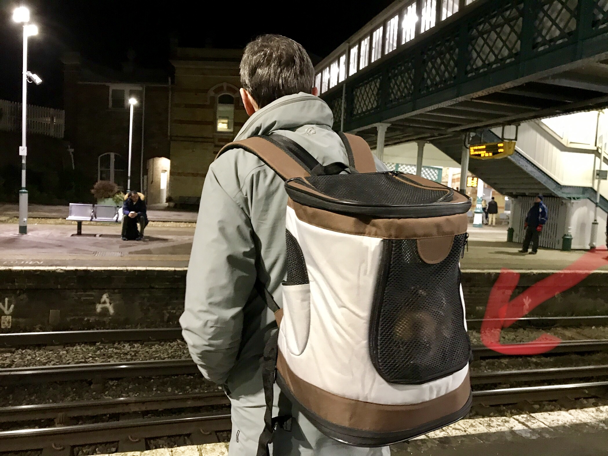 Preparations and Newhaven port (travelling to Spain with a dog: part 3)