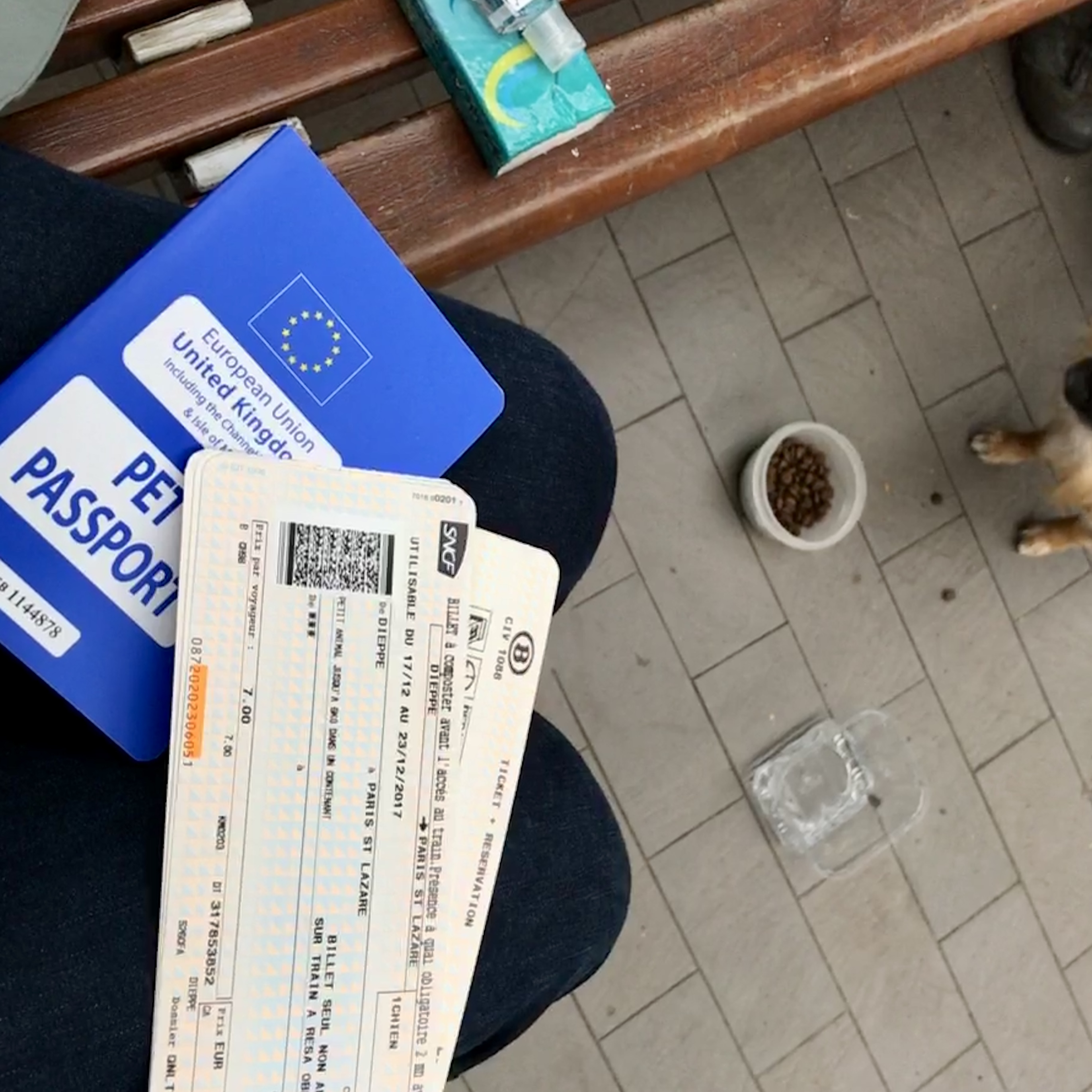 Dieppe to Paris (travelling to Spain with a dog, part 5)