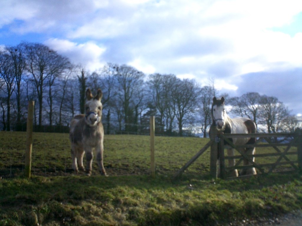 Onlookers at Hadrian