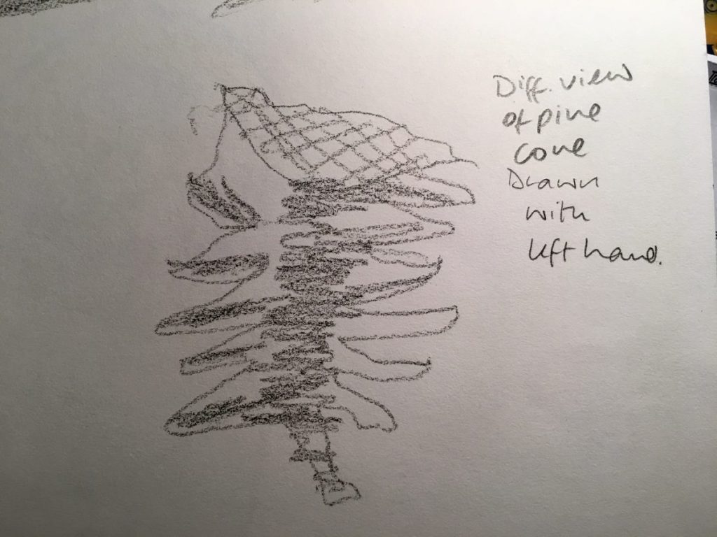 beginners hand drawn pine cone (left hand)