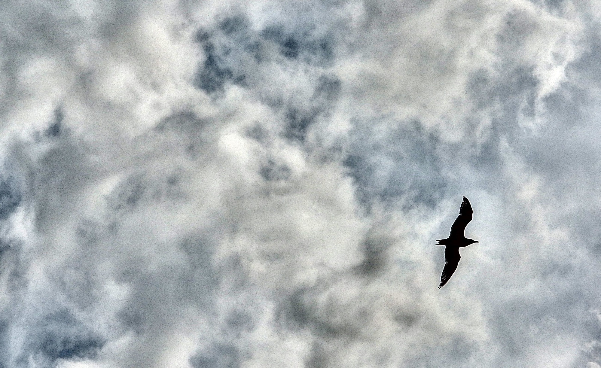 Bye bye Radio Seagull