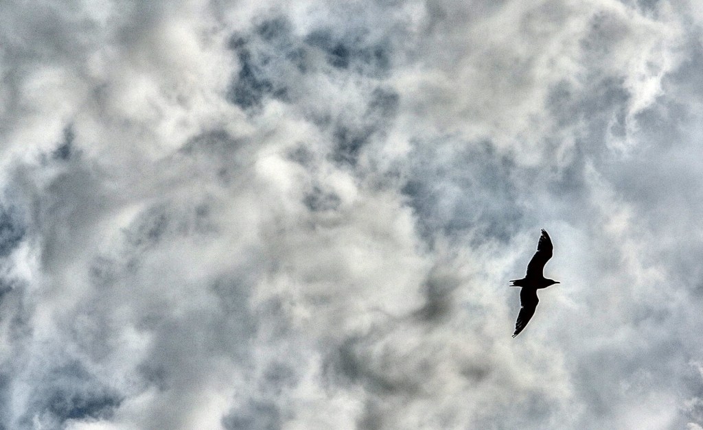 Bye bye Radio Seagull